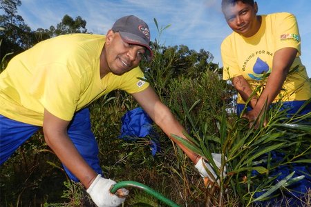 Gansbaai Fire and invasive plant management highlighted 2_1